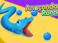 Anaconda Runner